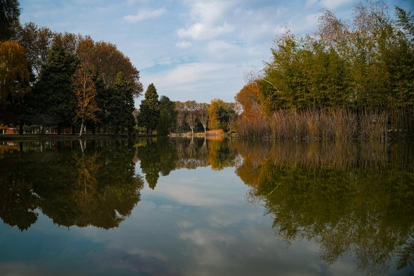 Comment le temps passé à l'extérieur peut-il bénéficier à la santé des femmes enceintes ?