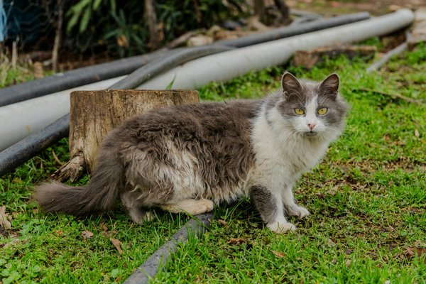 Quels conseils prodiguer aux femmes enceintes sur la gestion des finances liées à la maternité ?