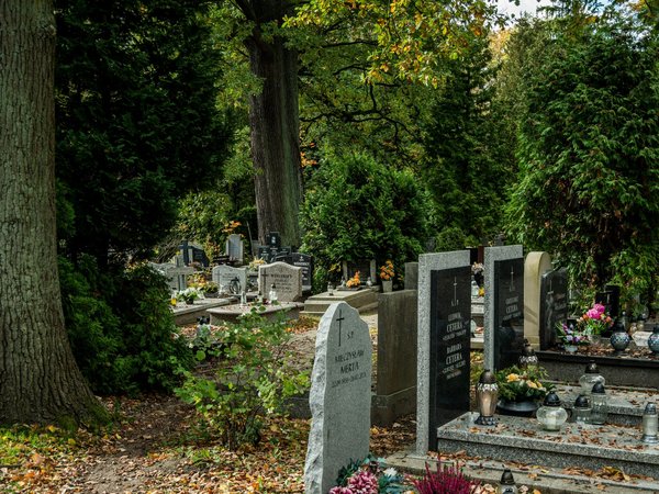 Tout comprendre sur les pompes funèbres et l'organisation des obsèques en France